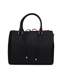 Aldo Aquafynaax Women Black Satchel (Set of 2)
