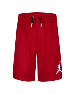 Jordan red mesh shorts
